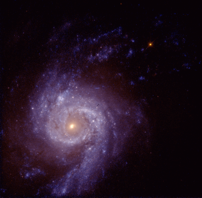 NGC 3310: grand design spiral galaxy 