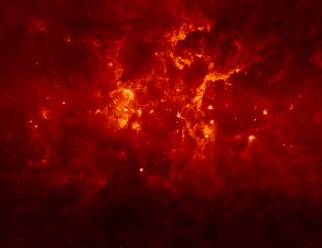 8 micron image of the 
Galactic Plane centered on Cygnus