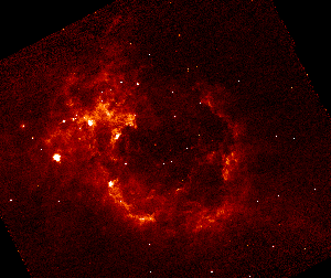 8 micron image of the
Rosette Nebula