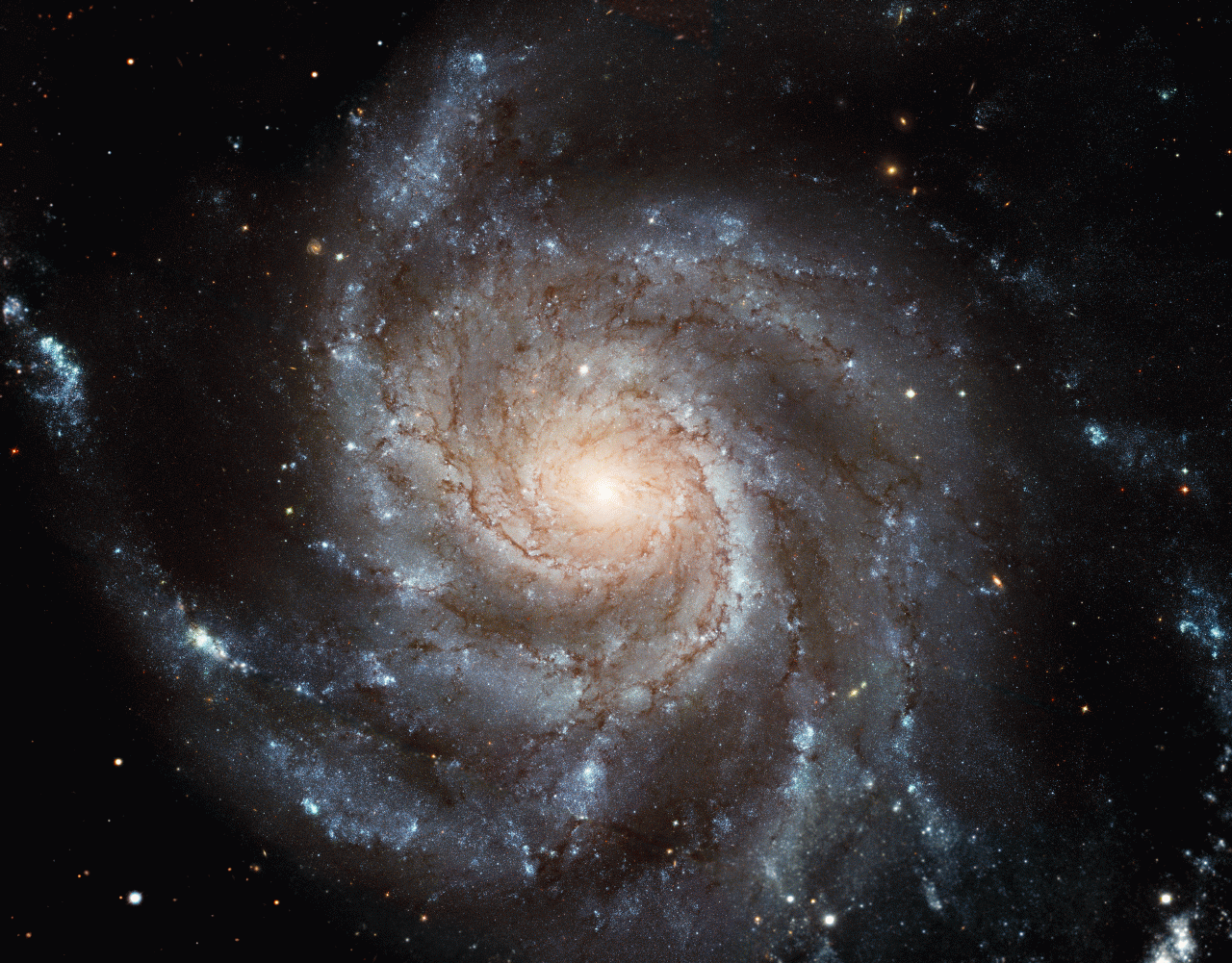 majestic spiral galaxy NGC 4414